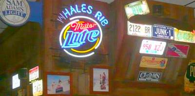 Whales Rib Whales Rib