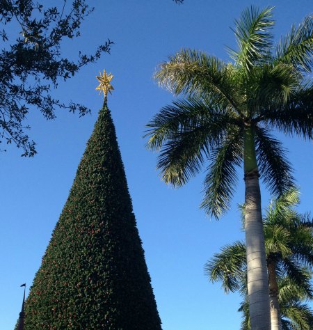 delray tree lighting