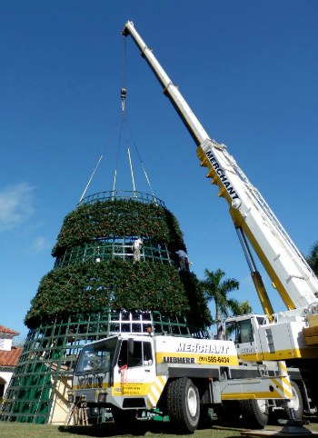 lighting-of-the-christmas tree