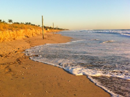 beach restoration delray