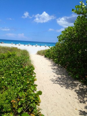 Florida Family Beach Vacation Best Beaches Delray Make Delray Beach Fl Your Next Florida Family Vacation