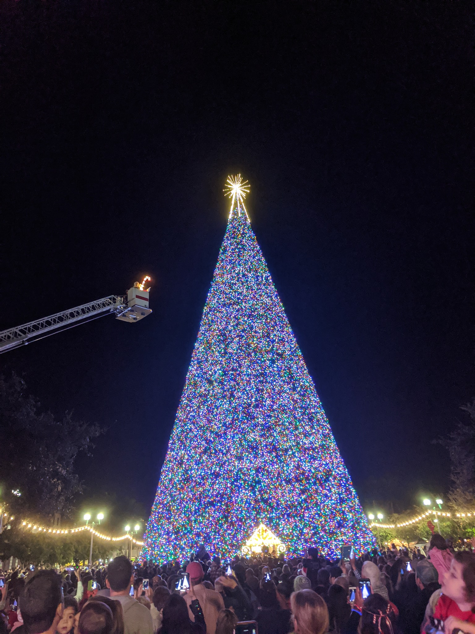 Del Ray Va 2022 Christmas Tree Lighting Christmas Tree Lighting In Delray, 100-Foot Christmas Tree